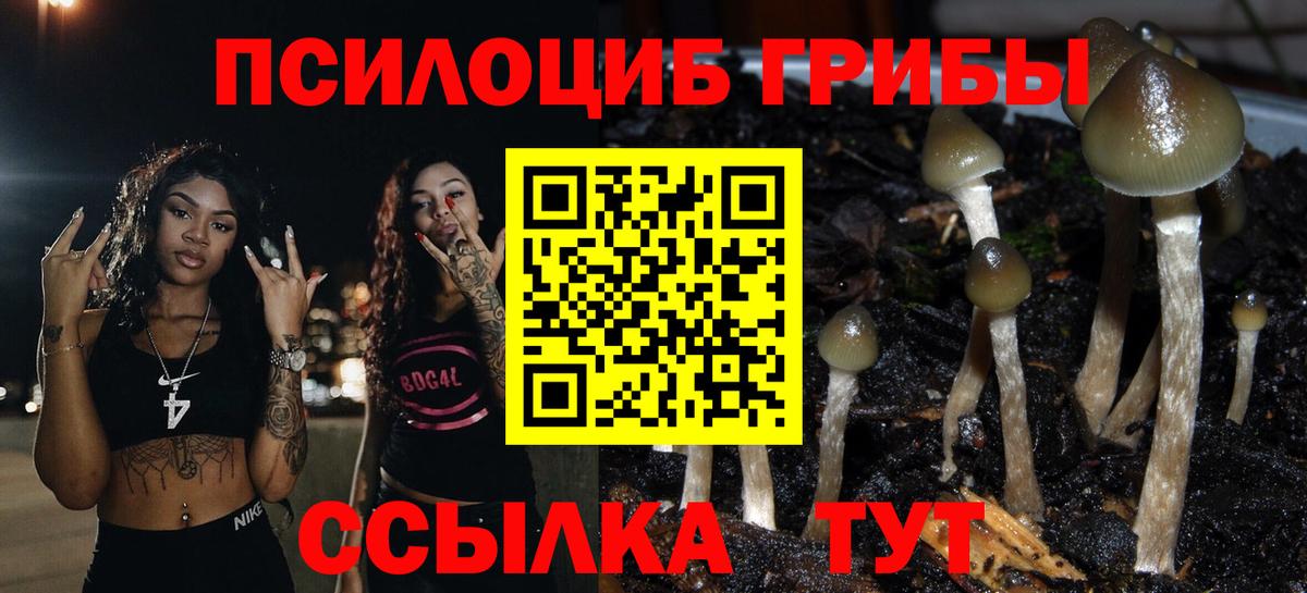 Псилоцибиновые грибы прущие грибы  Вход с VPN  Галлюциногенные грибы GOLDEN TEACHER  Россия 